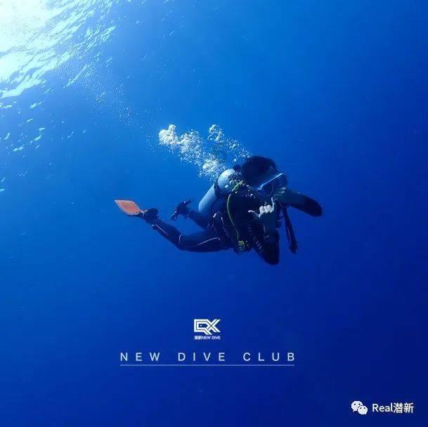 勇者斗恶龙3D